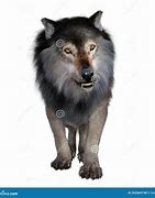 Image result for Dire Wolf Extinct