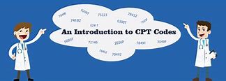 Image result for CPT Codes Look Like