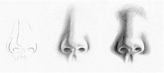 Image result for Shaded Nose Drawing