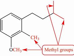 Image result for Methyl Drawing