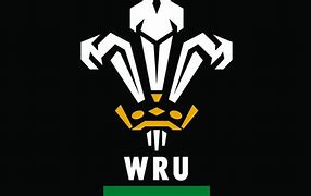 Image result for Welsh Rugby Union Logo