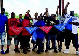 Image result for St. Louis Gangs Wikp