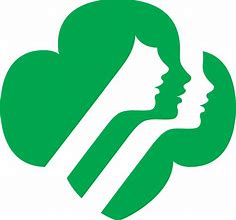 Image result for Girl King Scout Award Image