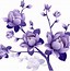 Image result for Purple Lily Flower Clip Art