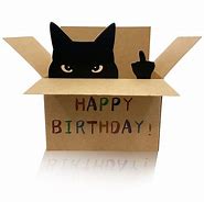 Image result for Happy Birthday From a Cat