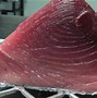 Image result for Bluefin Tuna Fillet