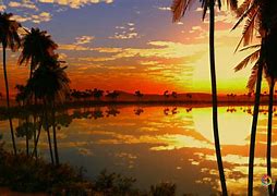 Image result for Sunset Live Wallpaper 4K