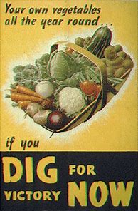 Image result for Dig for Victory