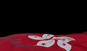 Image result for Hong Kong Balck Flag