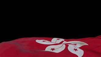 Image result for Hong Kong Flag 4K