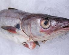 Image result for Barbeque Haddock