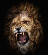 Image result for Big Lion Roar