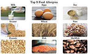 Image result for Food Allergies Please Let Us Know