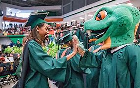 Image result for FAMU Party