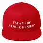 Image result for Funny Maga Hat