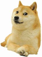 Image result for Baby Doge Smiling