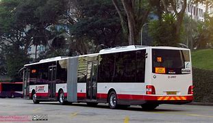 Image result for Tomica Singapore Bus Smrt