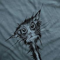 Image result for Just Crazy Cat