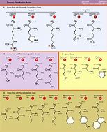 Image result for Amino Acid Properties Chart