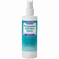 Image result for Pramoxine Spray