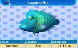 Image result for Animal Crossing New Leaf Fish