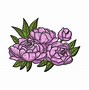 Image result for Peony Bush Vector