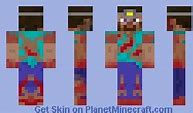 Image result for Survivor Steve Minecraft Skin