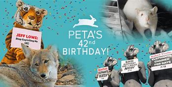 Image result for Peta Myanmar