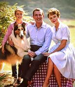 Image result for Lassie Show