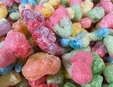 Image result for Freeze Dried Machine