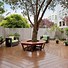 Image result for Back Yard Olive Tree Bench