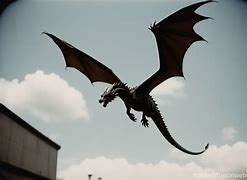 Image result for Flying Dragon Animal