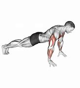 Image result for Push UPS for Arms