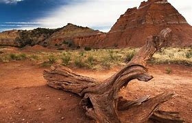 Image result for Texas Nature Reserves