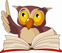 Image result for Wise Owl