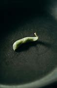 Image result for Edamame Pics