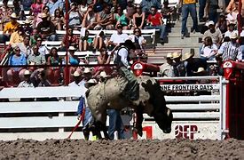 Image result for Lane Frost Drawing