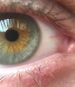 Image result for Greenish Yellow Eyes Logo