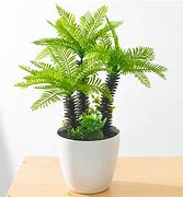 Image result for Make Fake Palm Tree