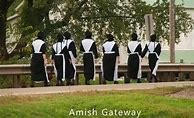 Image result for Amish Blue Dress