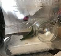 Image result for Ant Enclosure