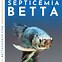 Image result for Fish Septicemia