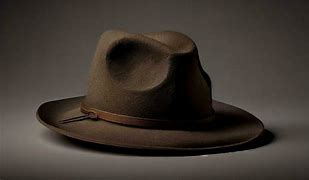 Image result for Indiana Jones Hat