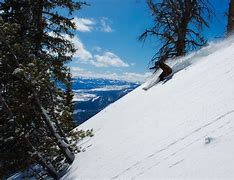 Image result for Someone Skiing