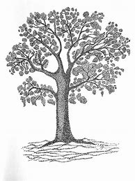 Image result for Tree Art Sketch