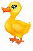 Image result for Yellow Duck Meme