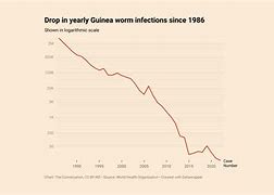 Image result for Guinea Worm Parasite