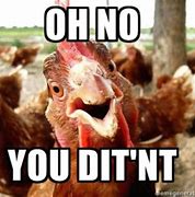 Image result for Crazy Chicken Meme