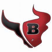 Image result for Bloomingdale Bulls Basketball Logo