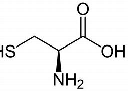 Image result for Cysteine